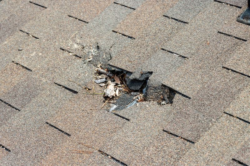 Damaged Roof Replacement in Whites Creek, TN